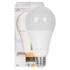 LED-Lampe, AGL-Form, opal, E27, 2700K