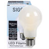 LED-Filament-Lampe, AGL-Form, matt, E27, 2700K bis 2200K