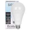 LED-Lampe, ECOLUX, AGL-Form, E27, 2700K