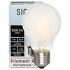 LED-Filament-Lampe, Full Spectrum, AGL-Form, matt, E27, 2700K