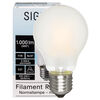 LED-Filament-Lampe, Full Spectrum, AGL-Form, matt, E27, 2700K