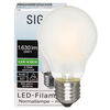 LED-Filament-Lampe, AGL-Form, matt, E27, 2700K