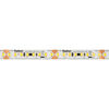 LED-Flexstreifen, STRIP 2200 S, 2835-SMD-LEDs/24V/70W, L 5 m, 800 LEDs, ~14W/m, ~2.150-2.250 lm/m