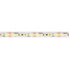 LED-Flexstreifen, STRIP 1300 S, 2835-SMD-LEDs/24V/45W, L 5 m, 800 LEDs, ~9W/m