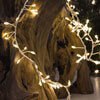 LED-Lichterkette, Cluster, warmwei�e LEDs, silberner Draht