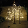 B�umchen, warmwei�e LEDs