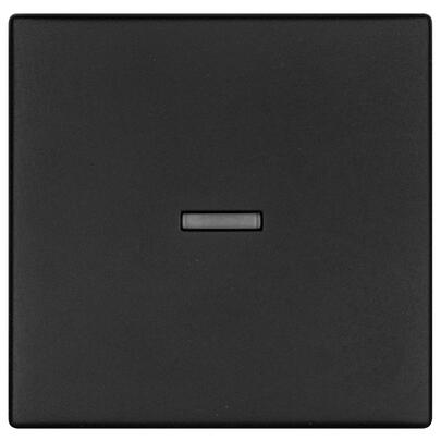 Wippe, fr Kontroll-Schalter, K55 BBblack, schwarz matt