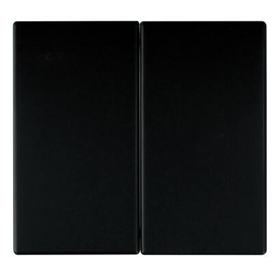 Wippe f�r Serie, Doppelwechsel, Doppeltaster, APOLO 5000, schwarz matt