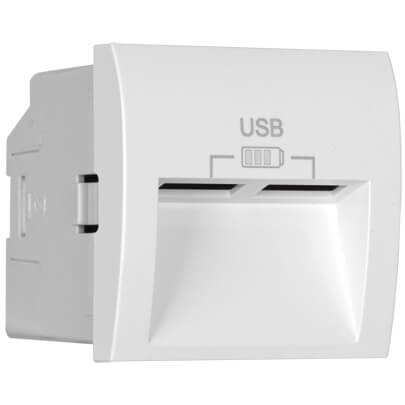 Modul-Einsatz, USB-Ladegert, 2 x USB-Ausgang 5V/2,4A, Abgang 20, Modul 45 x 45