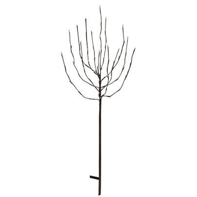 LED-Baum,  TOBBY TREE, 70-flammig, H 1100