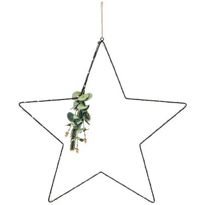 Stern, EUKALYPTUS, 45 warmweie LEDs 