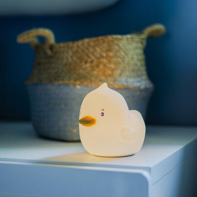 Nachtlicht, ENTE, LE