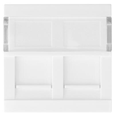 Modul-Einsatz, Frontplatte f�r 2 x RJ45-Eins�tze, f�r Boden-Einbau-Steckdose, mit Beschriftungsfeld
